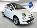 Fiat 500 Dolcevita Cabrio 1.0 Mild Hybrid DAB Weiß - thumbnail 3