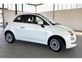 Fiat 500 Dolcevita Cabrio 1.0 Mild Hybrid DAB Weiß - thumbnail 7