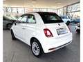 Fiat 500 Dolcevita Cabrio 1.0 Mild Hybrid DAB Weiß - thumbnail 6