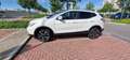 Nissan Qashqai 1.6 dci Tekna 2wd 130cv E6 - thumbnail 3