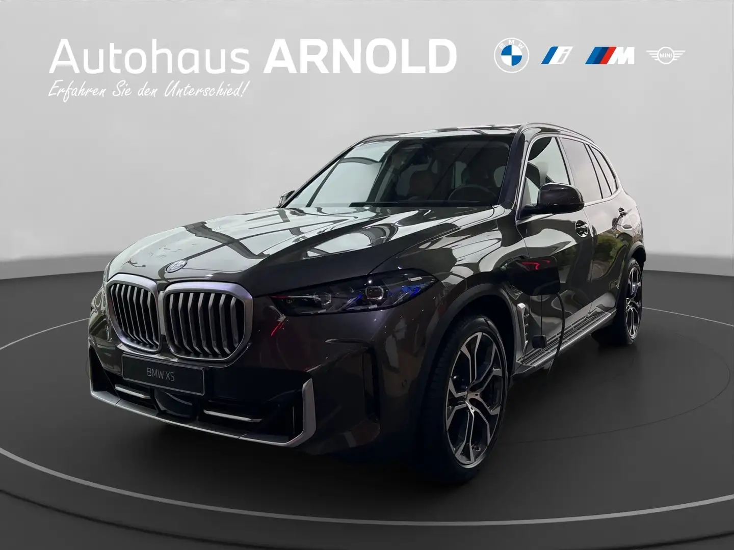 BMW X5 xDrive50e AHK Soft-Close Head-Up GSD Grau - 1