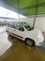 Fiat Panda 1.2 Lounge 69cv E6 - thumbnail 4