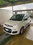 Fiat Panda 1.2 Lounge 69cv E6 - thumbnail 1