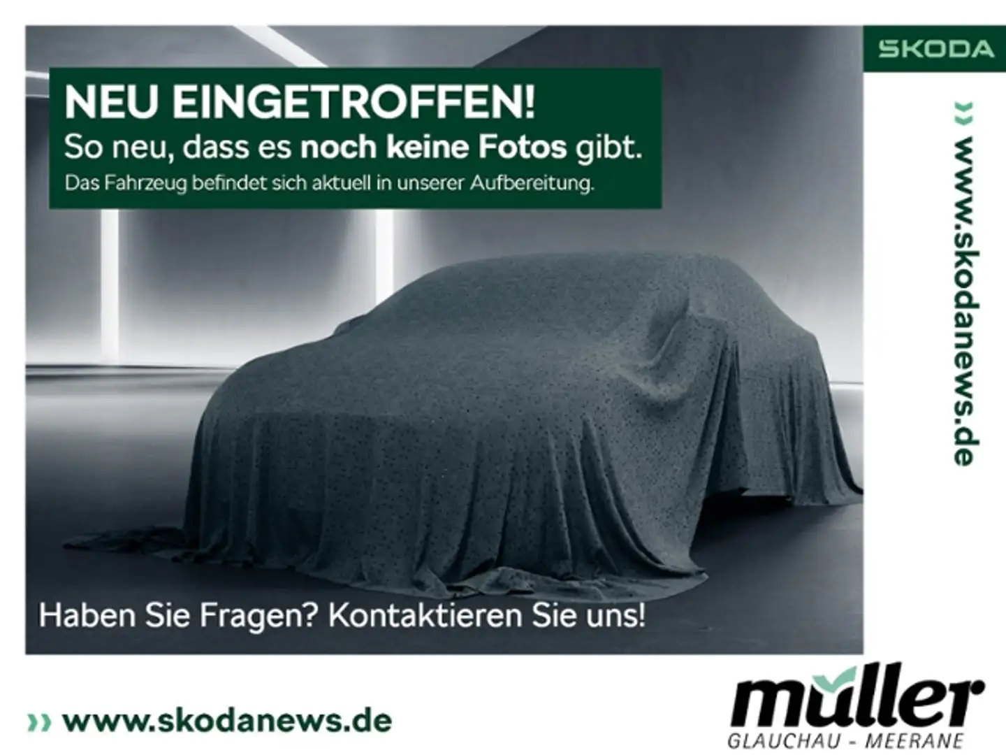 Skoda Kamiq Tour DSG Navi SmartLink SHZ Grau - 1