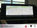 Citroen C4 e-C4 NEU Business MAX Elektromotor 156 Grün - thumbnail 13