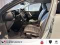 Citroen C4 e-C4 NEU Business MAX Elektromotor 156 Grün - thumbnail 11