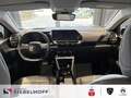 Citroen C4 e-C4 NEU Business MAX Elektromotor 156 Grün - thumbnail 12