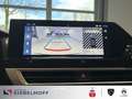Citroen C4 e-C4 NEU Business MAX Elektromotor 156 Grün - thumbnail 15