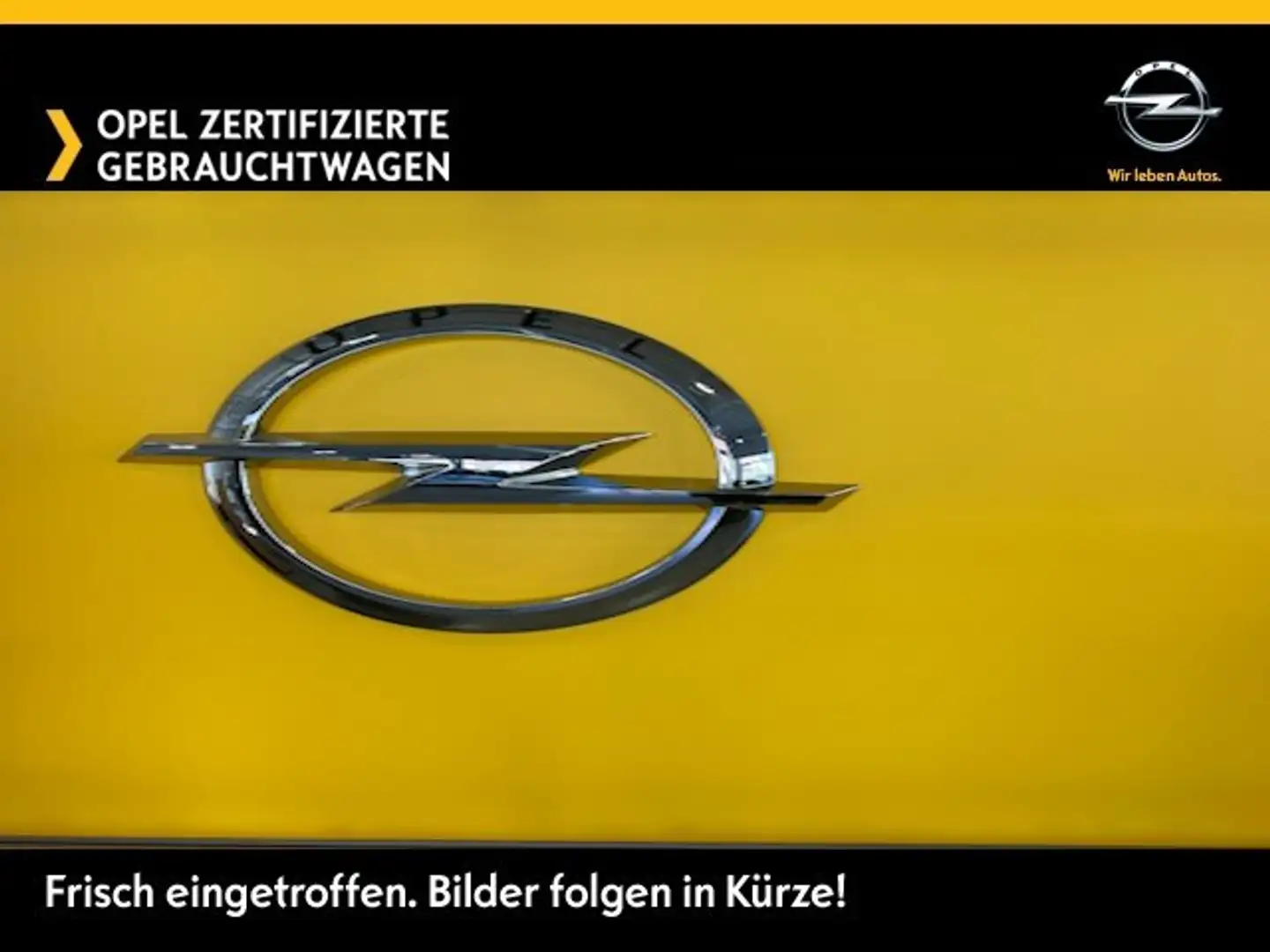 Opel Crossland X Enjoy AT Navi,LED,SHZ,PDC,Kamera,KeyLess,Allwette! Rot - 1