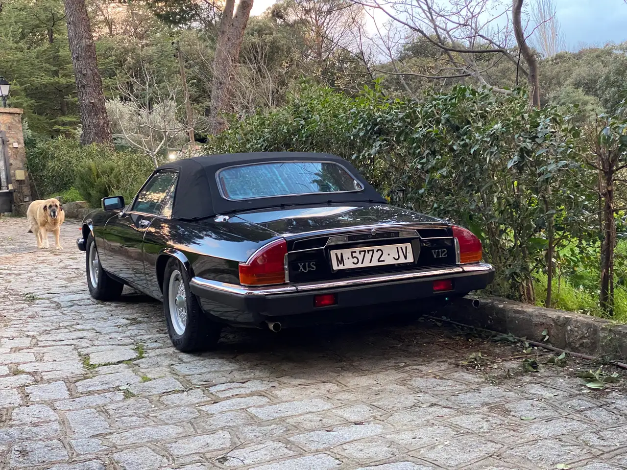 Jaguar XJSC XJS-C 5.3 Hse, foto 9