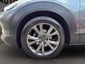 Mazda CX-30 X 186PS AT+ 360°+AHK+BOSE+KLIMA+NAVI+ Gris - thumbnail 6