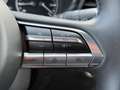Mazda CX-30 X 186PS AT+ 360°+AHK+BOSE+KLIMA+NAVI+ Gris - thumbnail 13