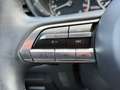 Mazda CX-30 X 186PS AT+ 360°+AHK+BOSE+KLIMA+NAVI+ Gris - thumbnail 12