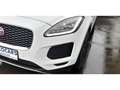 Jaguar E-Pace AWD / AUTOMAAT / 2L / CAMERA Blanc - thumbnail 4