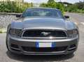 Ford Mustang 3.7 V6 Grigio - thumbnail 6