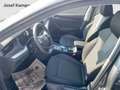 Skoda Octavia Selection TSI mHEV DSG Grau - thumbnail 9