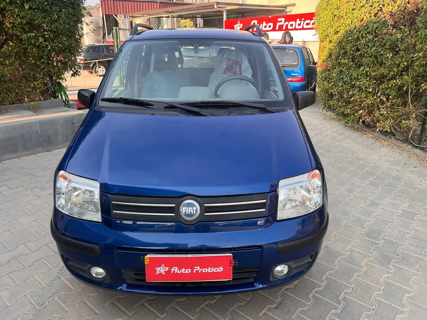 Fiat Panda Panda 1.2 Dynamic Blau - 2