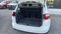 Ford C-Max 1.6 TDCi 115 Titanium Wit - thumbnail 38