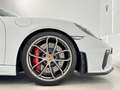 Porsche 718 Spyder Blanc - thumbnail 15