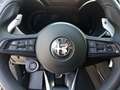 Alfa Romeo Stelvio 2.2 Diésel 154kW (210CV) Veloce Q4 Gris - thumbnail 14