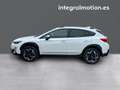 Subaru XV 2.0i Hybrid CVT Executive Plus Blanco - thumbnail 7