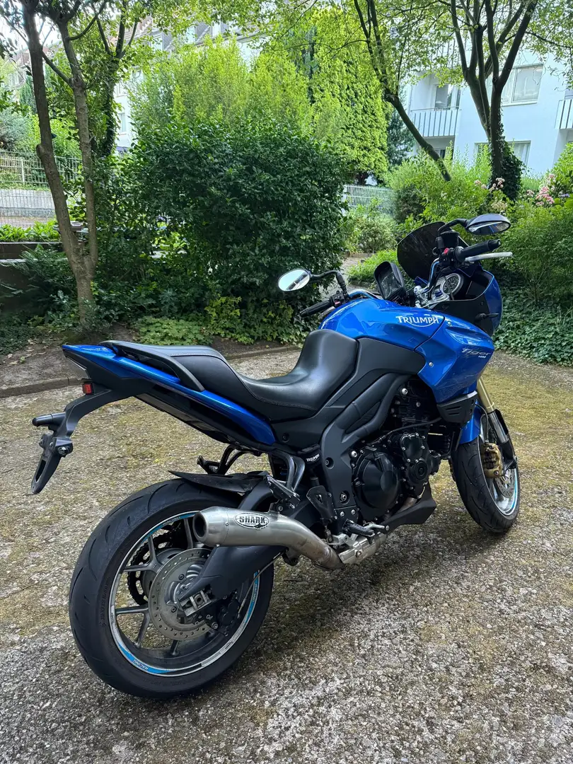Triumph Tiger 1050 Langsteckentourer Niebieski - 2