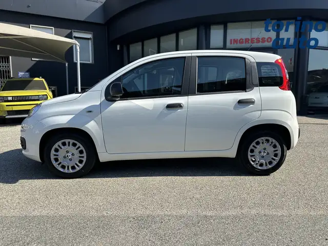 Fiat Panda view 4