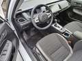 Honda Jazz 1,5 i-MMD Hybrid Crosstar Advance Automatik Weiß - thumbnail 10