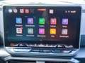 CUPRA Formentor FORMENTOR 1.5 TSI NAVI AHZV-VORBER. MATRIX-LED Gris - thumbnail 9