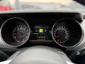 Ford Mustang Mustang 2.3 EcoBoost Basis Aut. Gelb - thumbnail 17