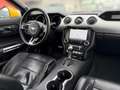 Ford Mustang Mustang 2.3 EcoBoost Basis Aut. Gelb - thumbnail 16