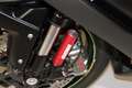 Kawasaki Ninja ZX-10RR - thumbnail 9