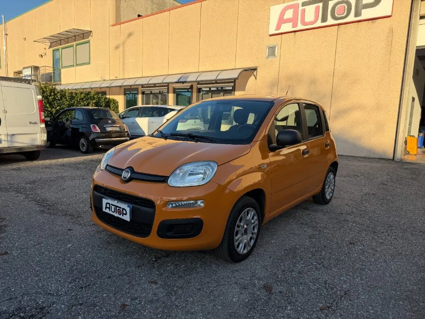 Fiat Panda 1.2 Easy Orange - 1