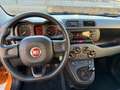 Fiat Panda 1.2 Easy Orange - thumbnail 13
