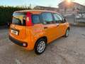 Fiat Panda 1.2 Easy Orange - thumbnail 5