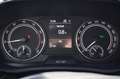 Skoda Fabia 1.0 TSI Ambition Grijs - thumbnail 17