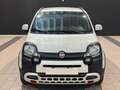 Fiat Panda 1.0 firefly hybrid Cross s&s 70cv 5p.ti - thumbnail 2