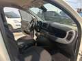 Fiat Panda 1.0 firefly hybrid Cross s&s 70cv 5p.ti - thumbnail 19