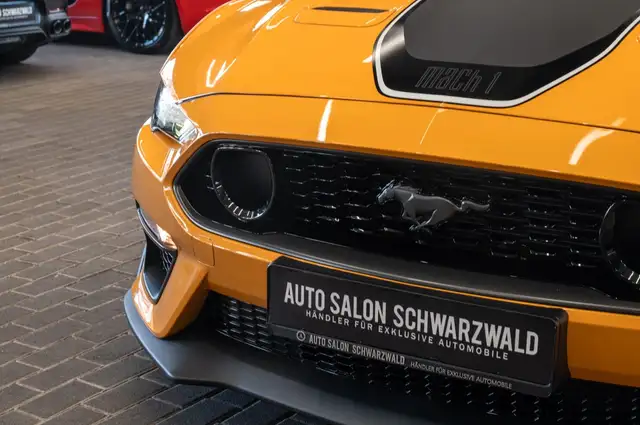 Ford Mustang view 12