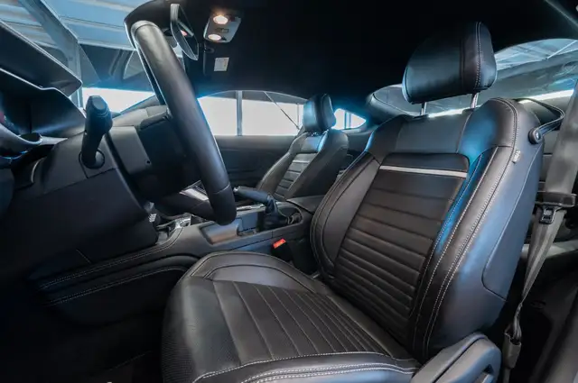 Ford Mustang view 15