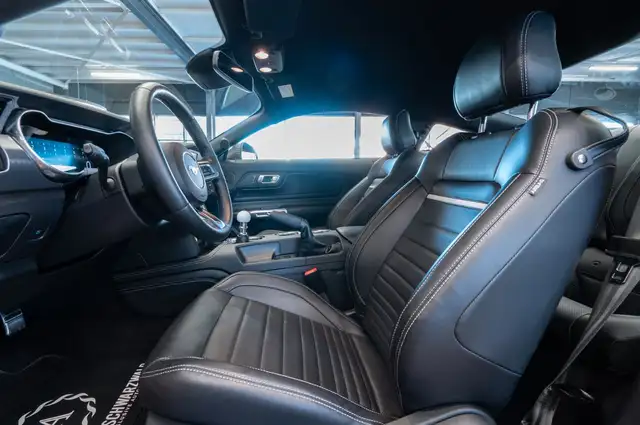 Ford Mustang view 14
