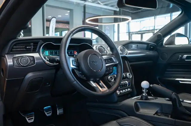 Ford Mustang view 13