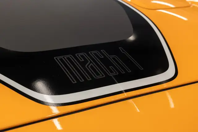 Ford Mustang view 11