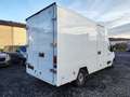 Renault Master DCI125 2300CC AIRCO Blanc - thumbnail 4