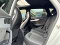 Audi RS4 Avant TFSI quattro tiptronic Blanco - thumbnail 13