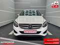 Mercedes-Benz B 200 "1 HAND-SITZH-KLIMA-CAM-MULTI-ALU" Blanc - thumbnail 3