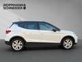 SEAT Arona 1.0 TSI DSG Xperience Navi LED SHZ Kamera Weiß - thumbnail 6