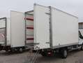 Ford Transit L4 Kasten/€ 19.900,-netto/Koffer KLIMA TEMP Weiß - thumbnail 10