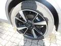 Polestar 2 Standard Range Single Motor Automatik MJ23 Grigio - thumbnail 13