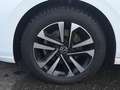 Volkswagen Golf VIII United 2.0 TDI DSG AHK NAV APP ACC PDC SHZ Weiß - thumbnail 11